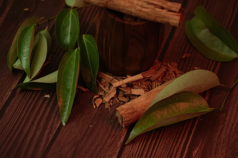 Say It Right, Cook It Better: The Chettinad Spice That's Quietly Taking Over American Kitchens